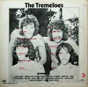 Brian Poole & The Tremeloes - The Tremeloes - Image 2