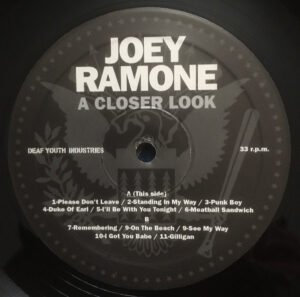 Joey Ramone - A Closer Look - Image 3