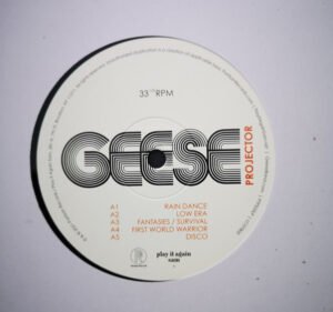 Geese (11) - Projector - Image 4