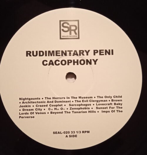 Rudimentary Peni - Cacophony - Image 3