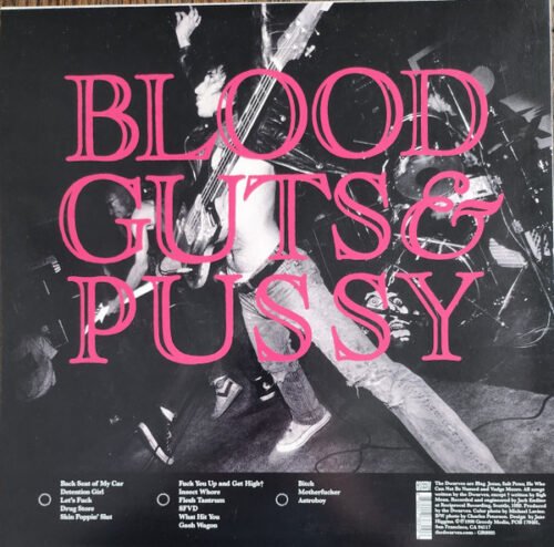 Dwarves - Blood Guts & Pussy - Image 2