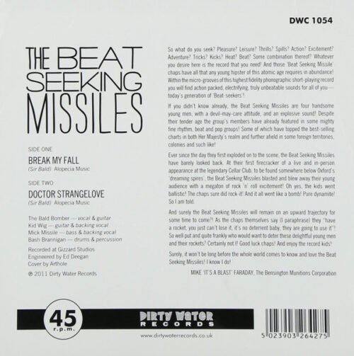 The Beat Seeking Missiles - Break My Fall - Image 2