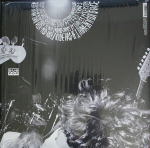Mudhoney - Superfuzz Bigmuff - Image 2