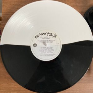 Reagan Youth - It's A Beautiful Day... For A Matinee! - Image 3